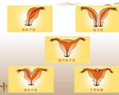 惠州最靠谱代孕公司,惠州中心医院试管婴儿怎么样?一起来了解一下