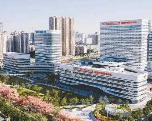 2026广东供卵试管机构排名前十公布，选择哪家做试管看成功率就知道了