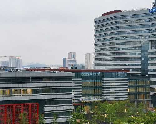 惠州试管代孕医院费用,试管婴儿备孕中需要补充哪些营养_自然周期取卵配成高