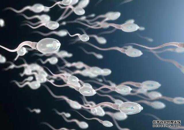 中国试管婴儿能选男女吗_做试管供卵给多少钱_胚胎养囊说明胚胎质量好还是不